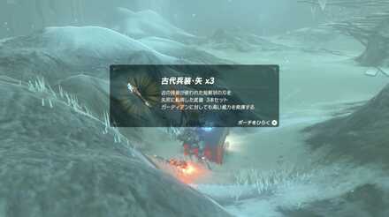 ブレスオブザワイルドの剣の試練極位14階の攻略画像2