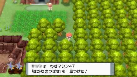 はがねのつばさ