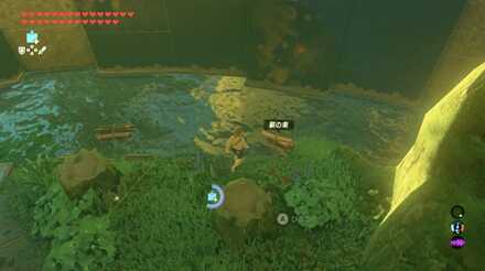 ブレスオブザワイルドの剣の試練極位18階の攻略画像1