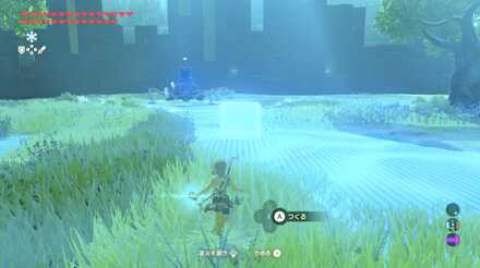 ブレスオブザワイルドの剣の試練極位20階の攻略画像2