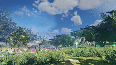 ハルファナ平原