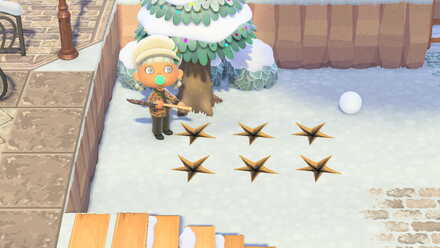 化石を埋めて場所を固定しておく