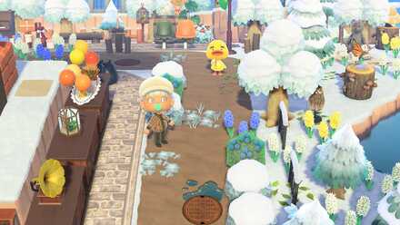 雑草の管理をしておく