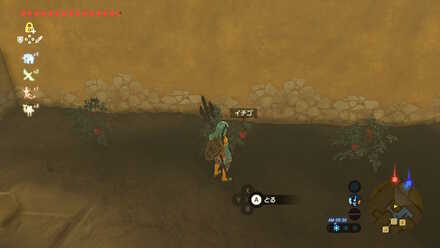 ブレワイの犯人は誰だ！攻略