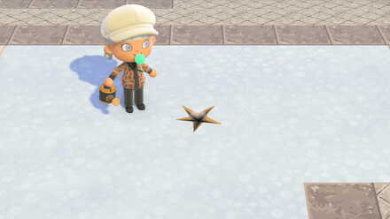 はにわのかけらを自分の島に埋めて水やりをする