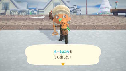 翌日以降はにわを埋めた場所を掘り返す