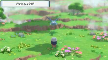 ラティオスの前でレポート