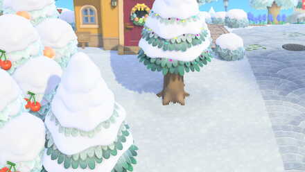 針葉樹を増やす