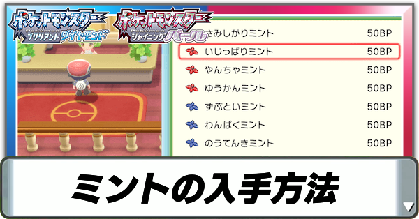 ミントの入手方法