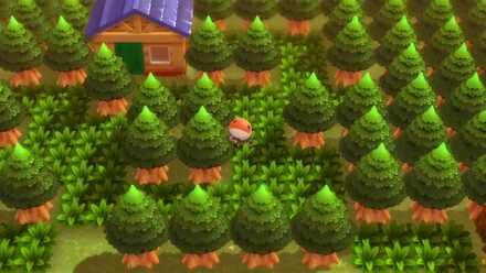 221番道路の民家