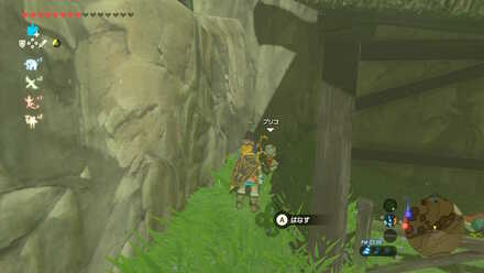 村南東の崖と小屋の間にいるプリコ