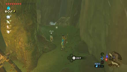 ブレワイのプリコと遊ぼ！攻略