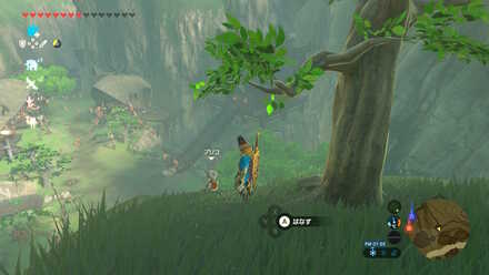 崖の上のタロニヒの祠前の木にいるプリコ