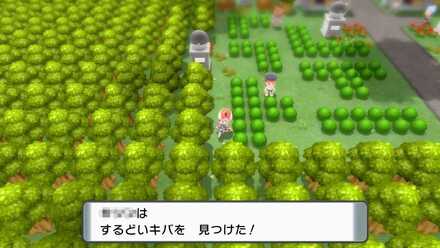 バトルパーク外周の南西に落ちている