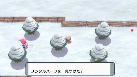 メンタルハーブを拾う