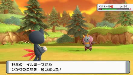 光の粉を泥棒する