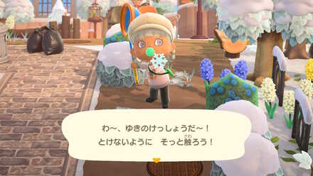 雪の結晶のとれる期間