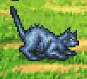 ストレイキャット画像