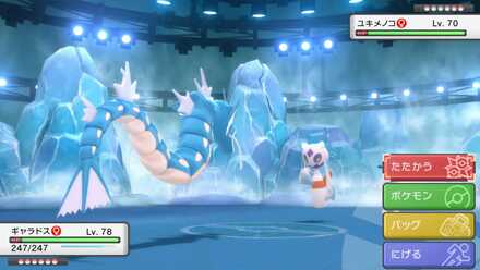 氷タイプは弱点が多い