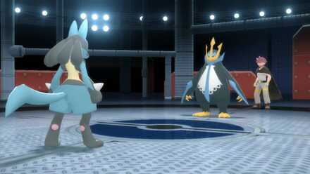 鋼タイプに対しては格闘が有利