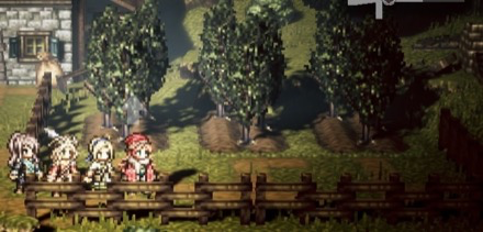 ナッツ畑の画像