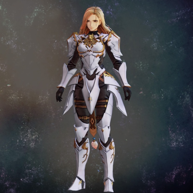 近衛兵の装甲衣装