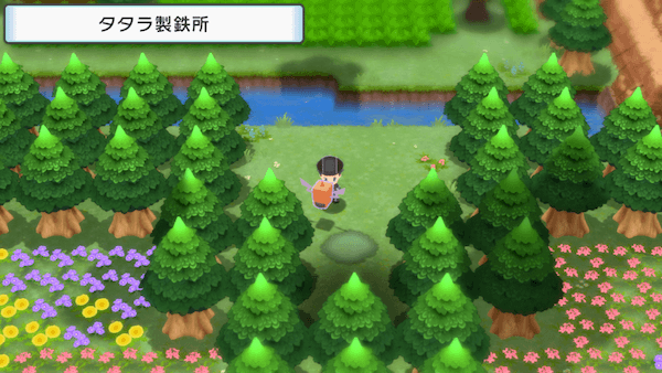 ソノオの花畑の北側