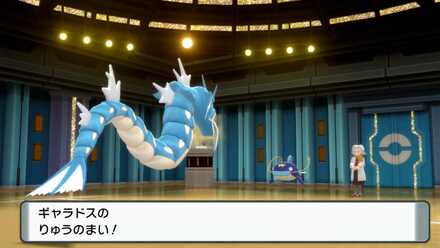 ナマズンの前で積むギャラドス