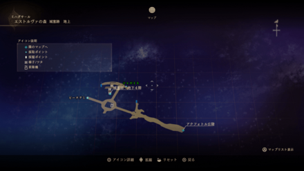 エストルヴァの森・城塞跡地上のマップ