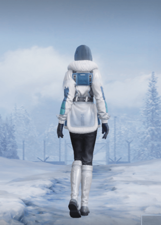 北極探検隊画像