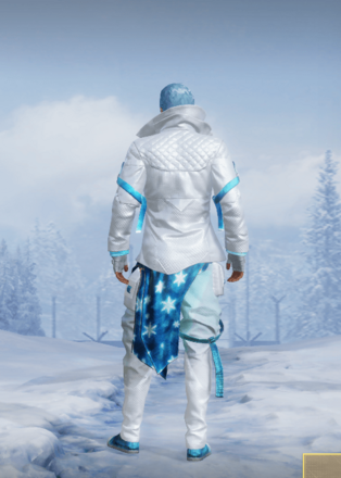 代号：雪豹画像