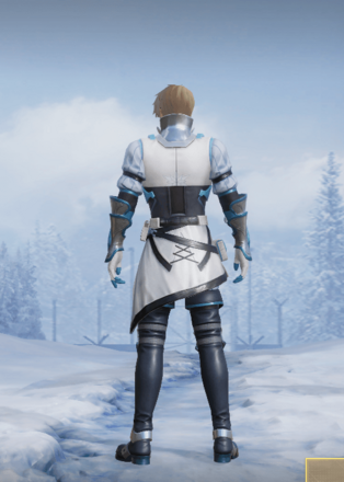 北極偵察隊画像