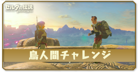 ブレスオブザワイルド 鳥人間チャレンジ アイキャッチ画像.png