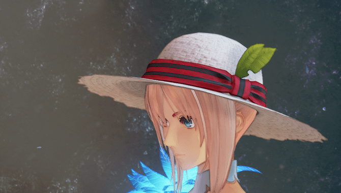 ほのぼの麦わら帽子衣装