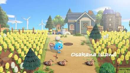 おさかな島の画像