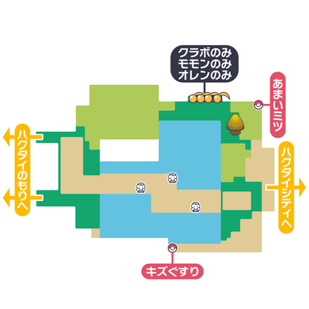 ポケモンダイパリメイクの205番道路・北