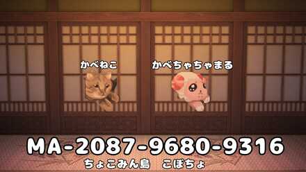 壁を突き破る猫とちゃちゃまる画像