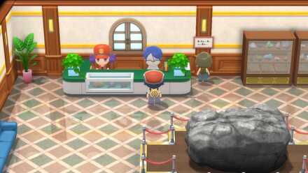 化石を受け取る前にレポートを書く