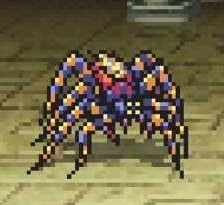 タランチュラ画像