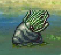 アクアソーン画像