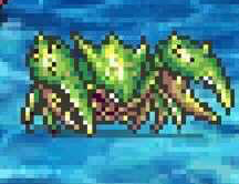 アクロフイーズ画像