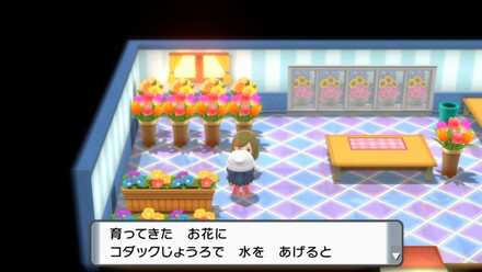 コダックじょうろをあげる