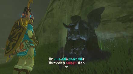 ブレワイの器の操者攻略