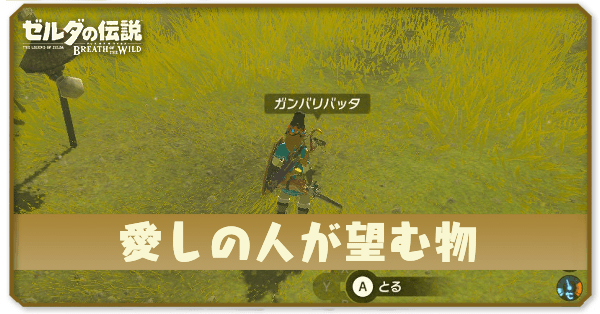 ブレワイの愛しの人が望む物攻略