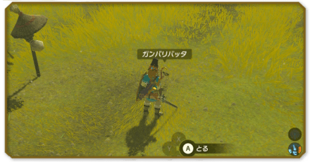 愛しの人が望む物