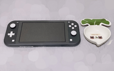 Switch LITEと比較してみた