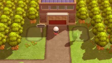 バトルパークへ向かう