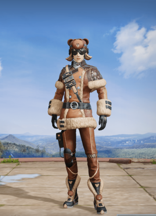 ブラウン支援隊画像