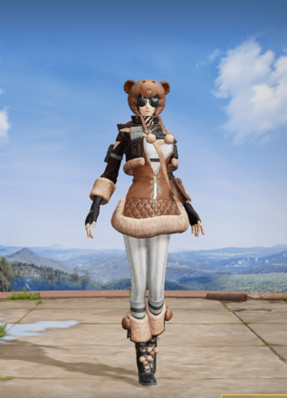 ブラウン支援隊画像