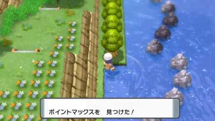ポイントマックス